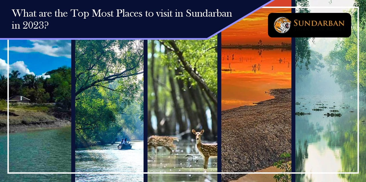 Top places for Sundarban