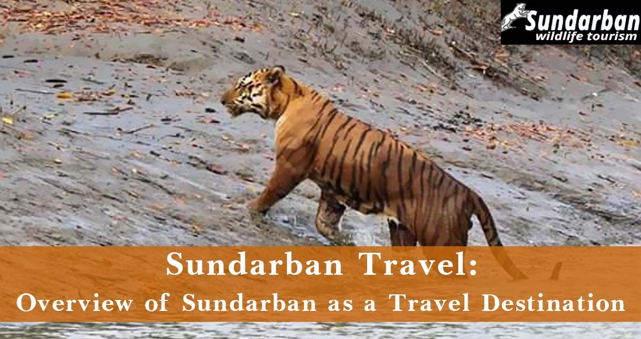 Sundarban Travel